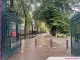 Intempéries : un tilleul historique du Parc de la Pépinière cède sous les fortes pluies
