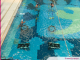 Vacances de la Toussaint : le programme aquatique dans les piscines de l’AquaPôle du Grand Nancy