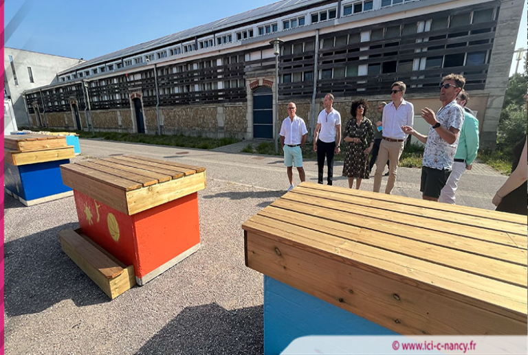 Skim park, animations et zones de détente : des nouveautés cet été à la Plage des Deux-Rives
