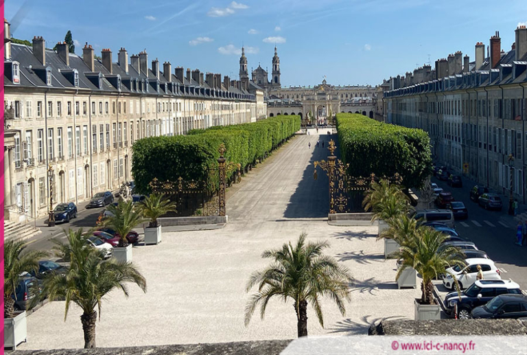 Nancy : place de la Carrière, des tilleuls menacés par un champignon vont être abattus