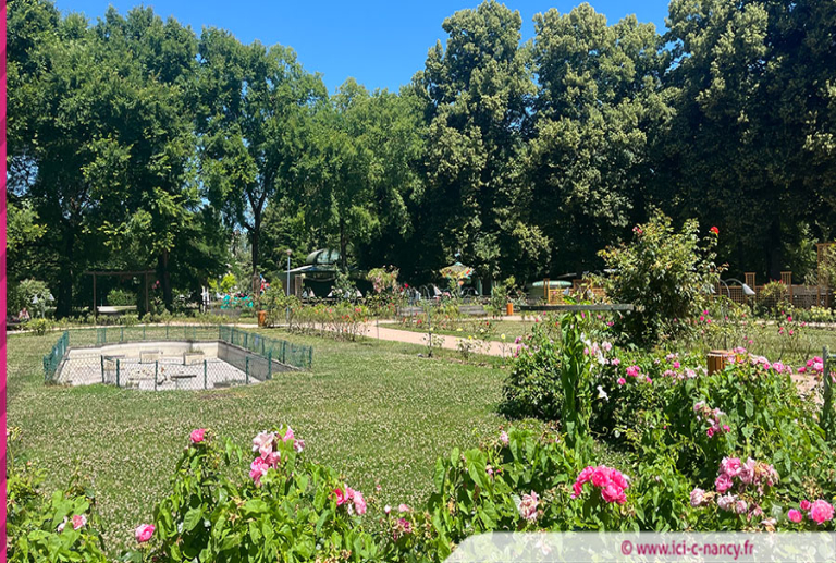 Nancy : la première « Nuit de la Pép » pour sensibiliser à la biodiversité nocturne