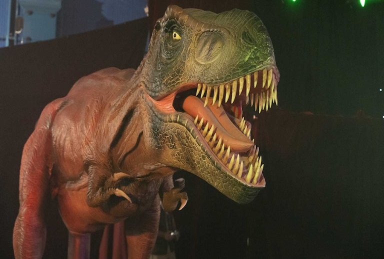 La plus grande exposition de dinosaures d’Europe s’installe à Nancy