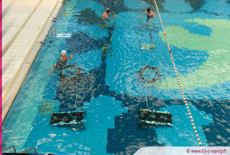 Vacances de la Toussaint : le programme aquatique dans les piscines de l’AquaPôle du Grand Nancy