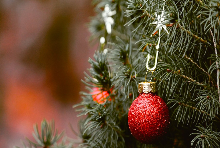 Nancy : neuf points de collecte pour recycler les sapins de Noël