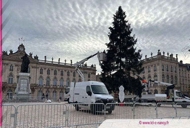 Nancy : dernières heures pour le grand sapin de la Place Stanislas