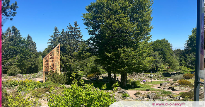 Vosges : une saison 2025 sous le signe du bois au Jardin d’altitude du Haut Chitelet