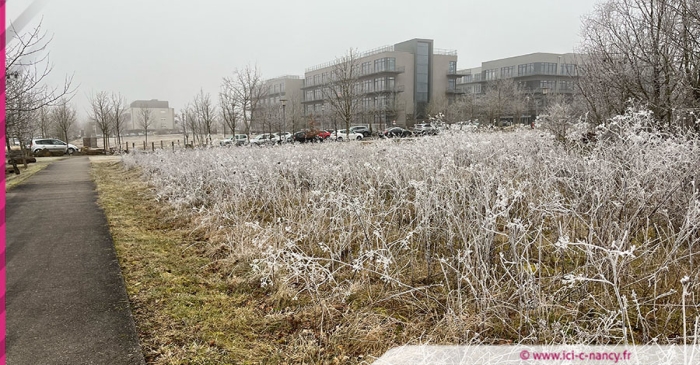 Meurthe-et-Moselle : vigilance jaune « neige - verglas » pour la nuit de lundi à mardi