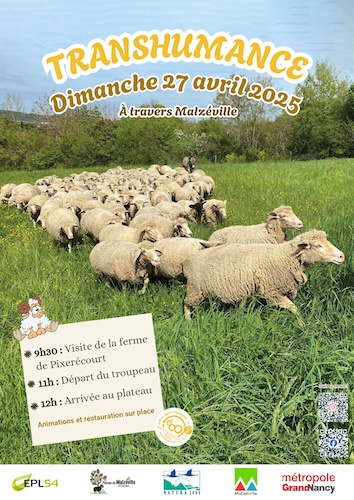 Afficheranshumance2025