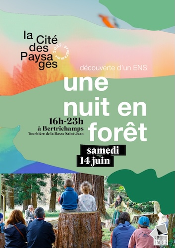 nuit-foret