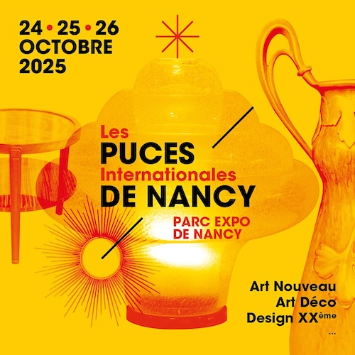 puces-nancy