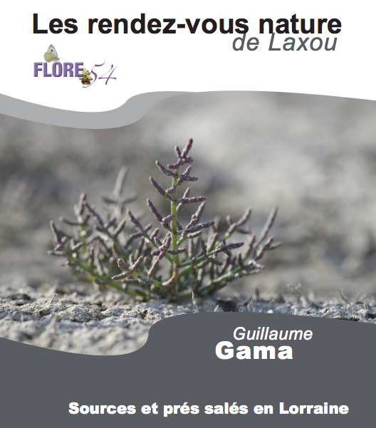 rdv-nature-laxou