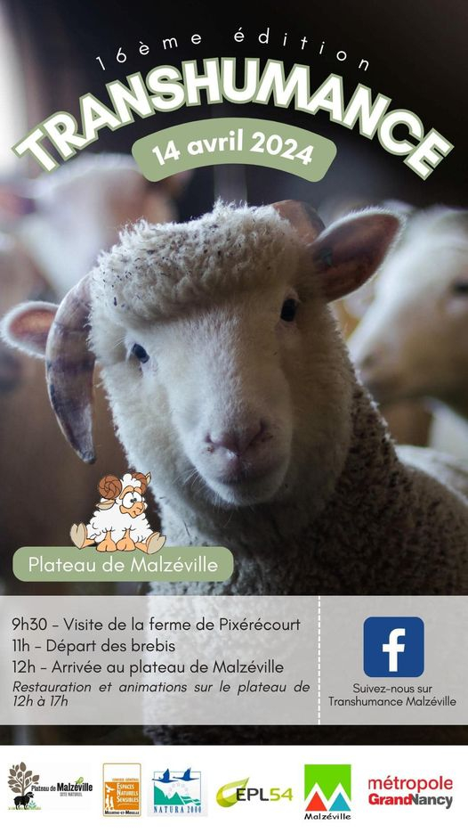 Transhumance 2024