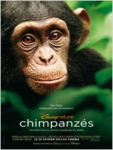 chimpanz-ncy