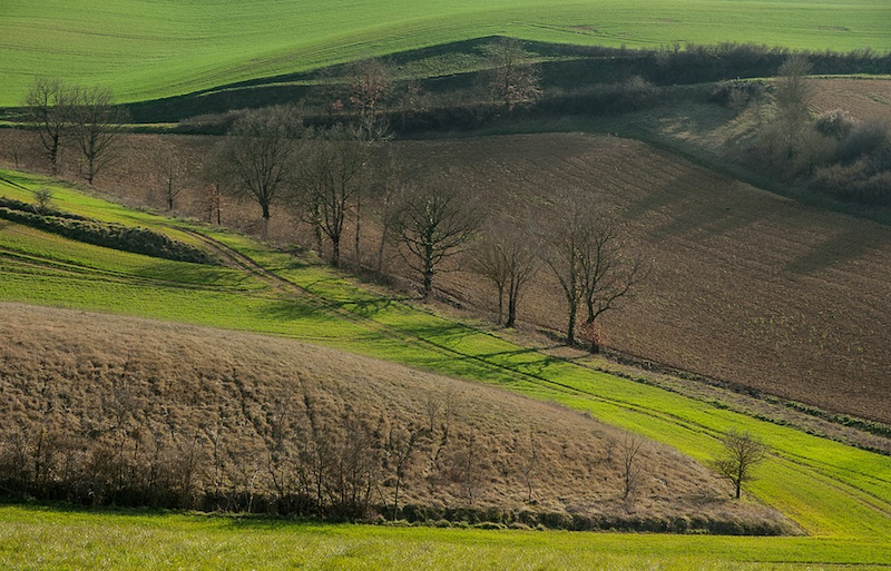 Campagne