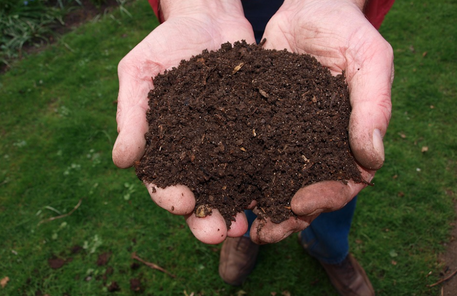 Compost