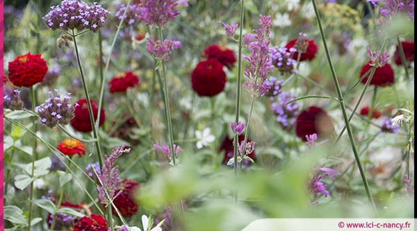 fleurs.icicnancy