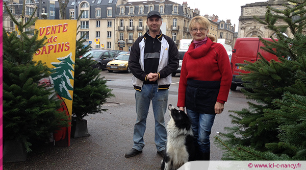 vente.sapin.nancy