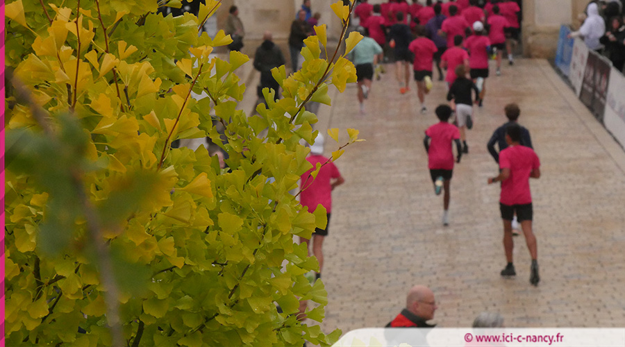 OCTOBRE ROSE10