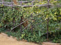plessage_les_autres_paysage