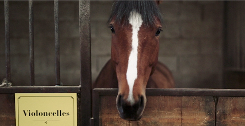 OperadeLorraine-Cheval