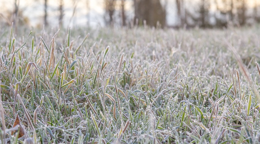 froid gelées 