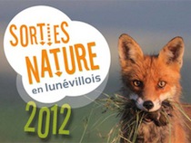 sorties-nature-54