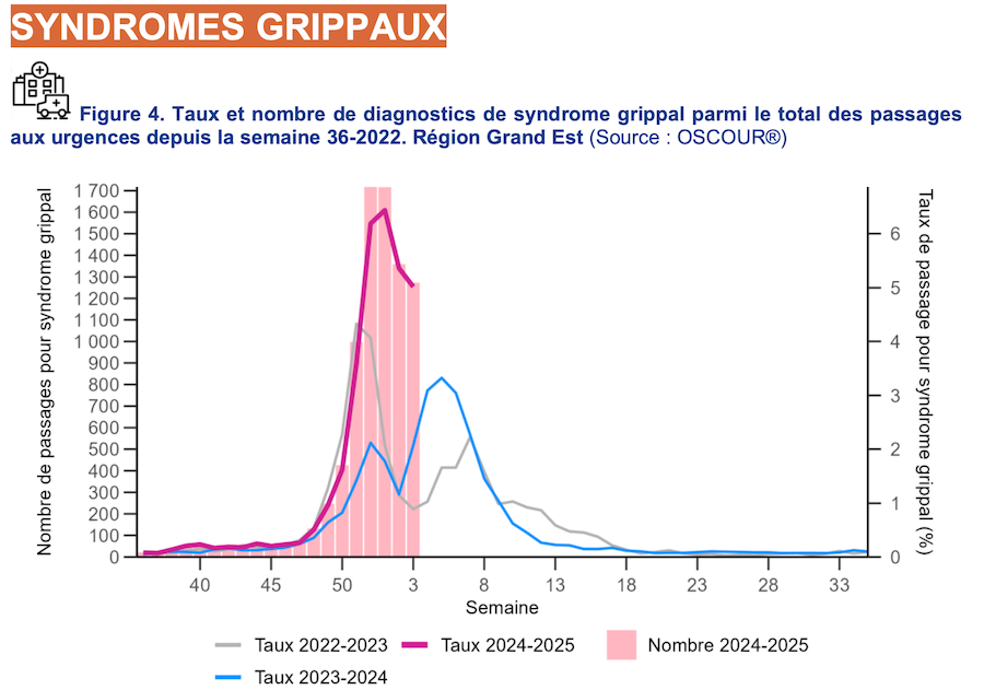 syndromes grippaux