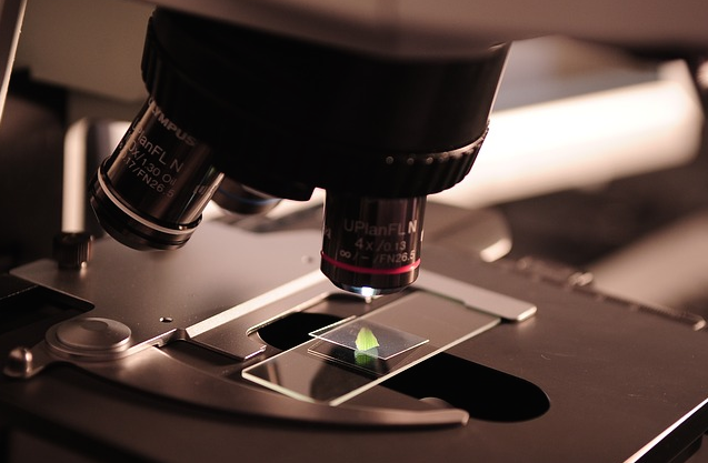 Microscope