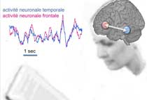 inserm-cerveau