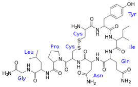ocytocine
