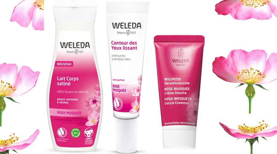 weleda rose