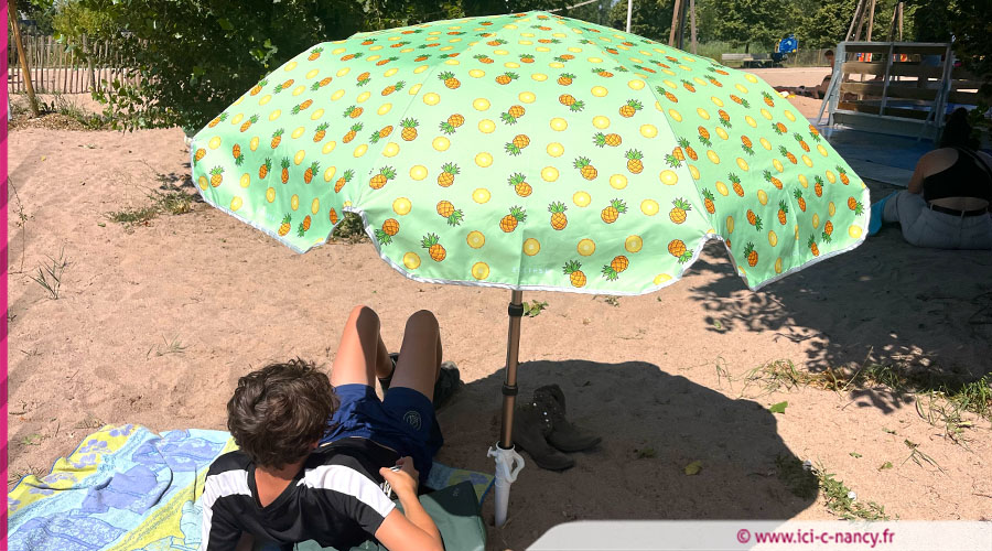 parasol1