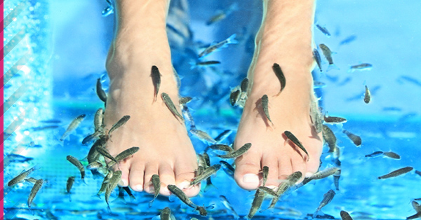 fish.pedicure