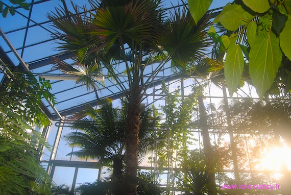 jardin botanique villers-les-Nancy